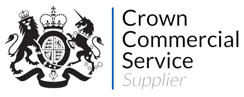 CCS Framework logo