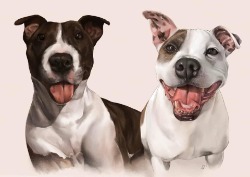 Kayleigh's dog illustration